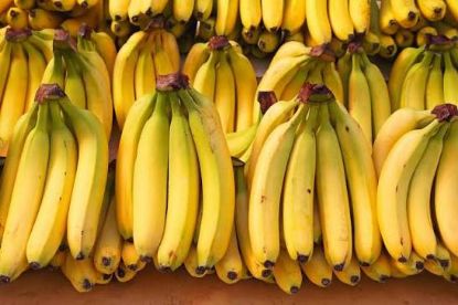 Image de Bananes