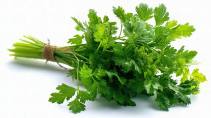 Image de Persil plat (bouquet)
